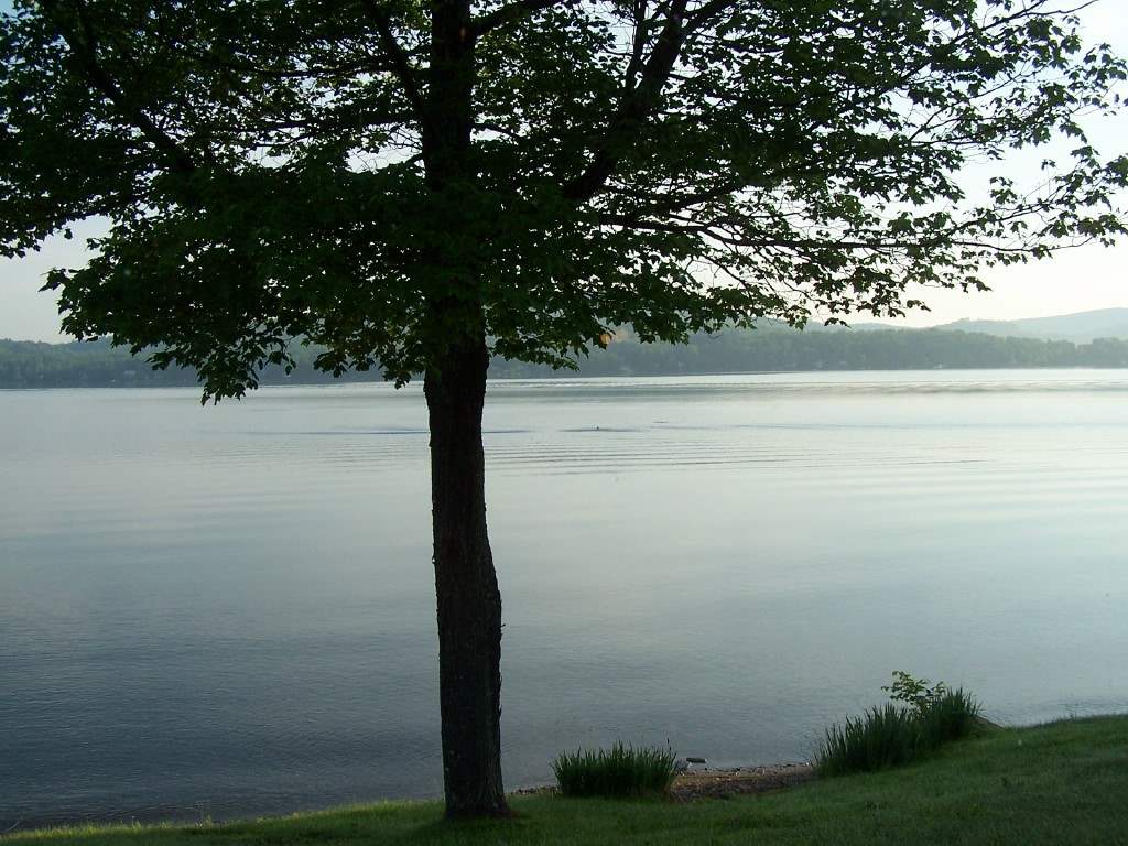 106 Wayeeses Shore Rd Morgan Morgan, VT 05872 - Photo 4 of 12 Gallery Image 4
