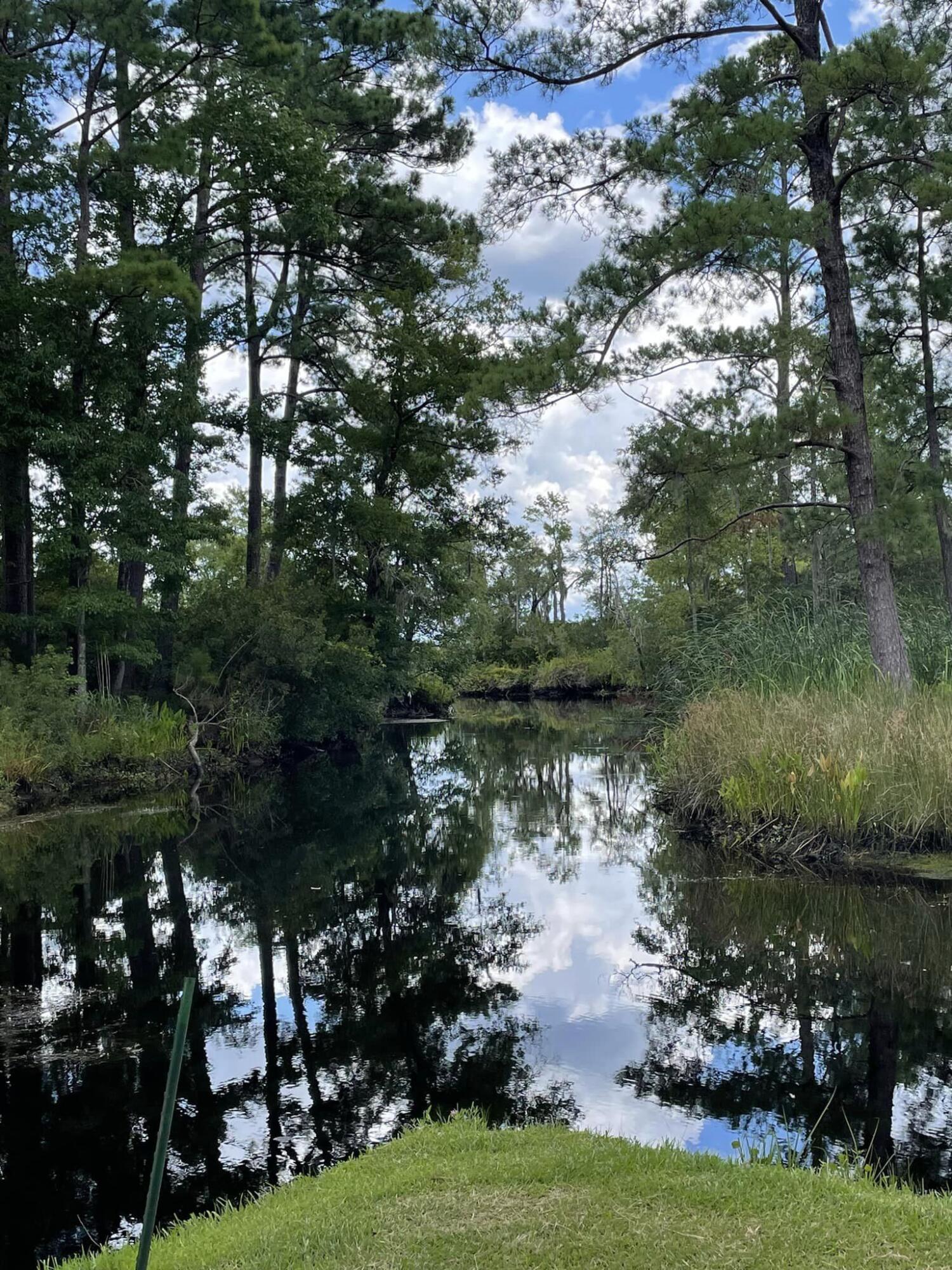 538 Castlebury Road Walterboro, SC 29488 - Photo 33 of 42 451740193_10224902488731284_243170258550