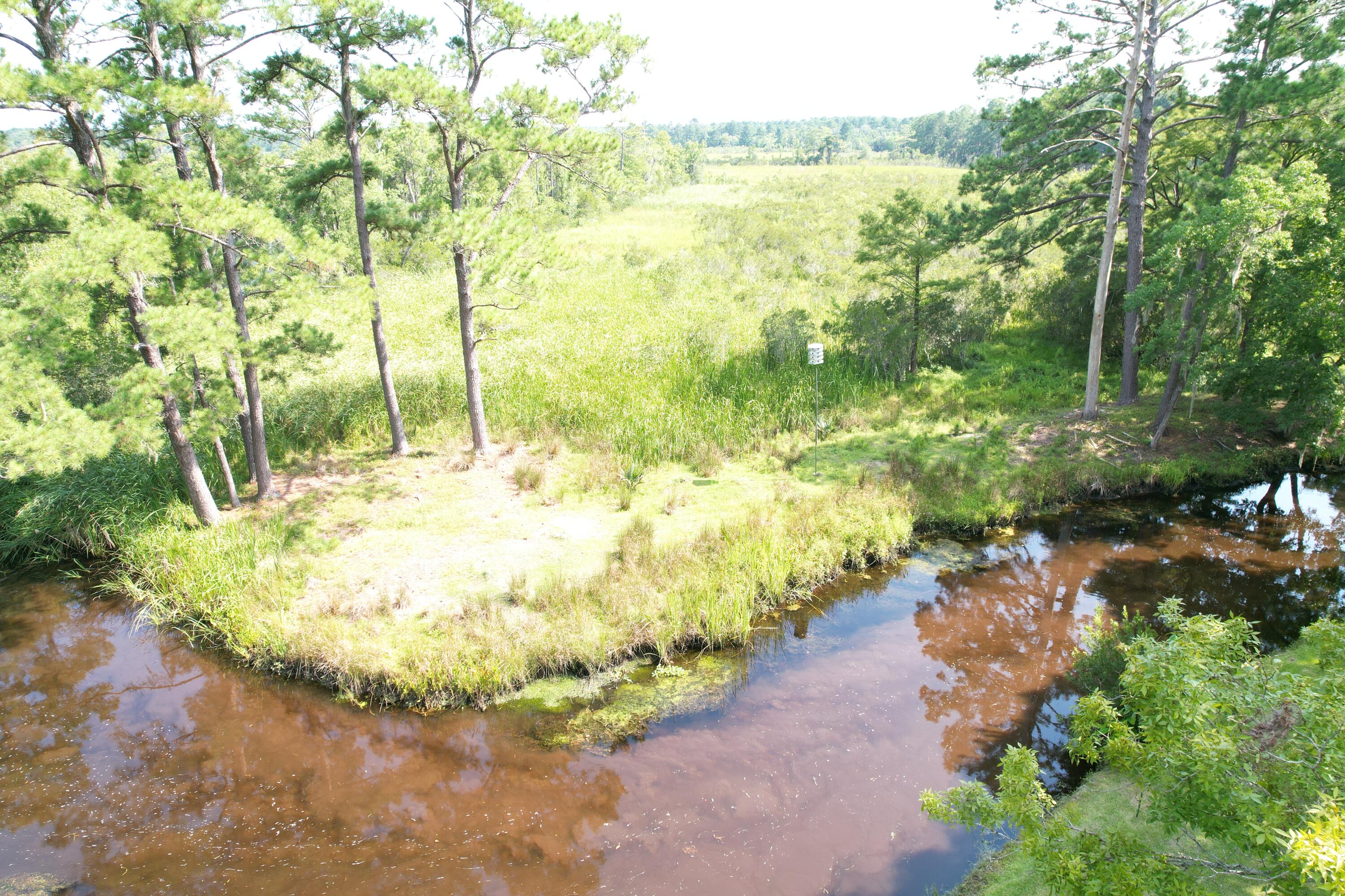 538 Castlebury Road Walterboro, SC 29488 - Photo 36 of 42 elevated marsh view