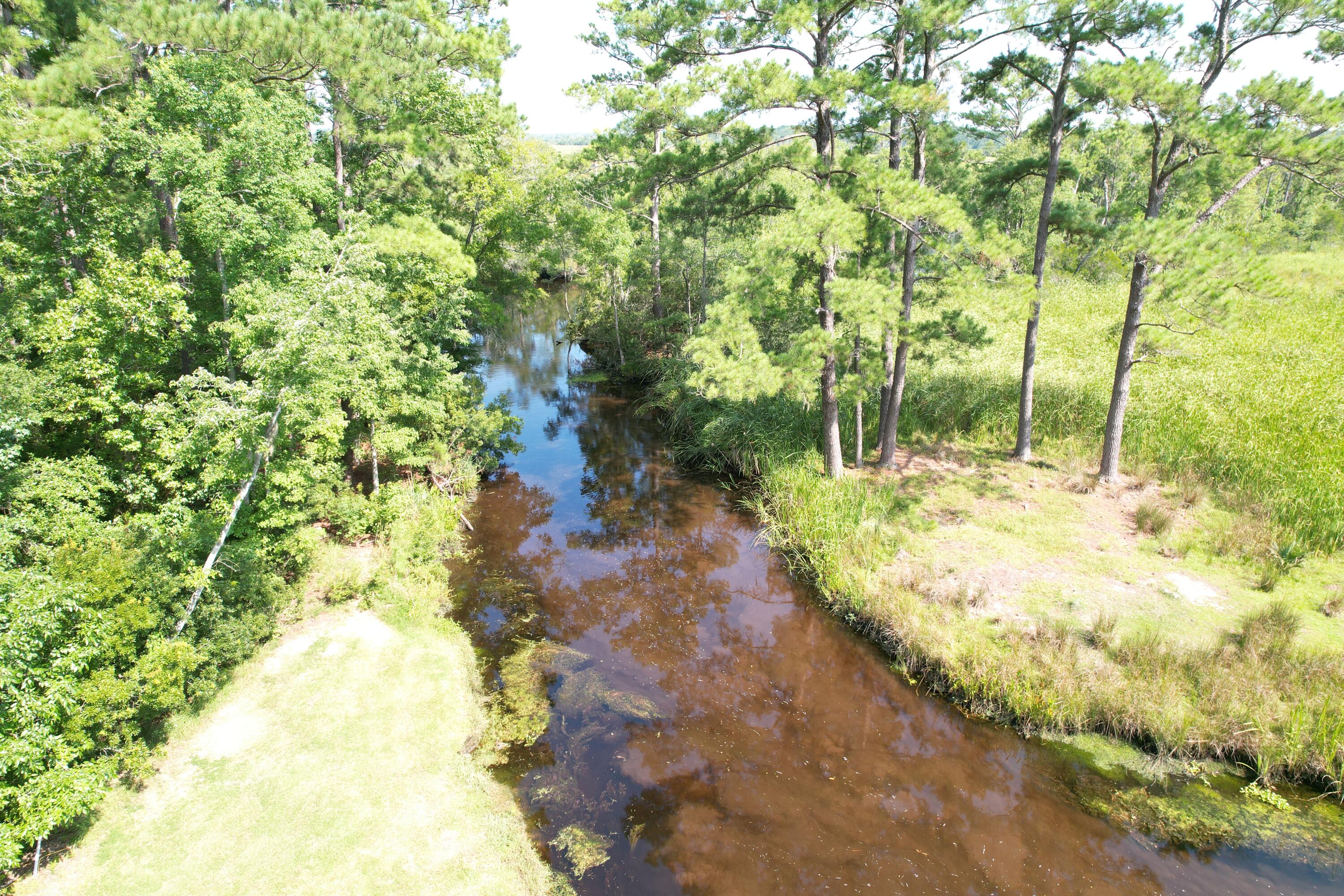 538 Castlebury Road Walterboro, SC 29488 - Photo 39 of 42 horseshoe creek to chessee