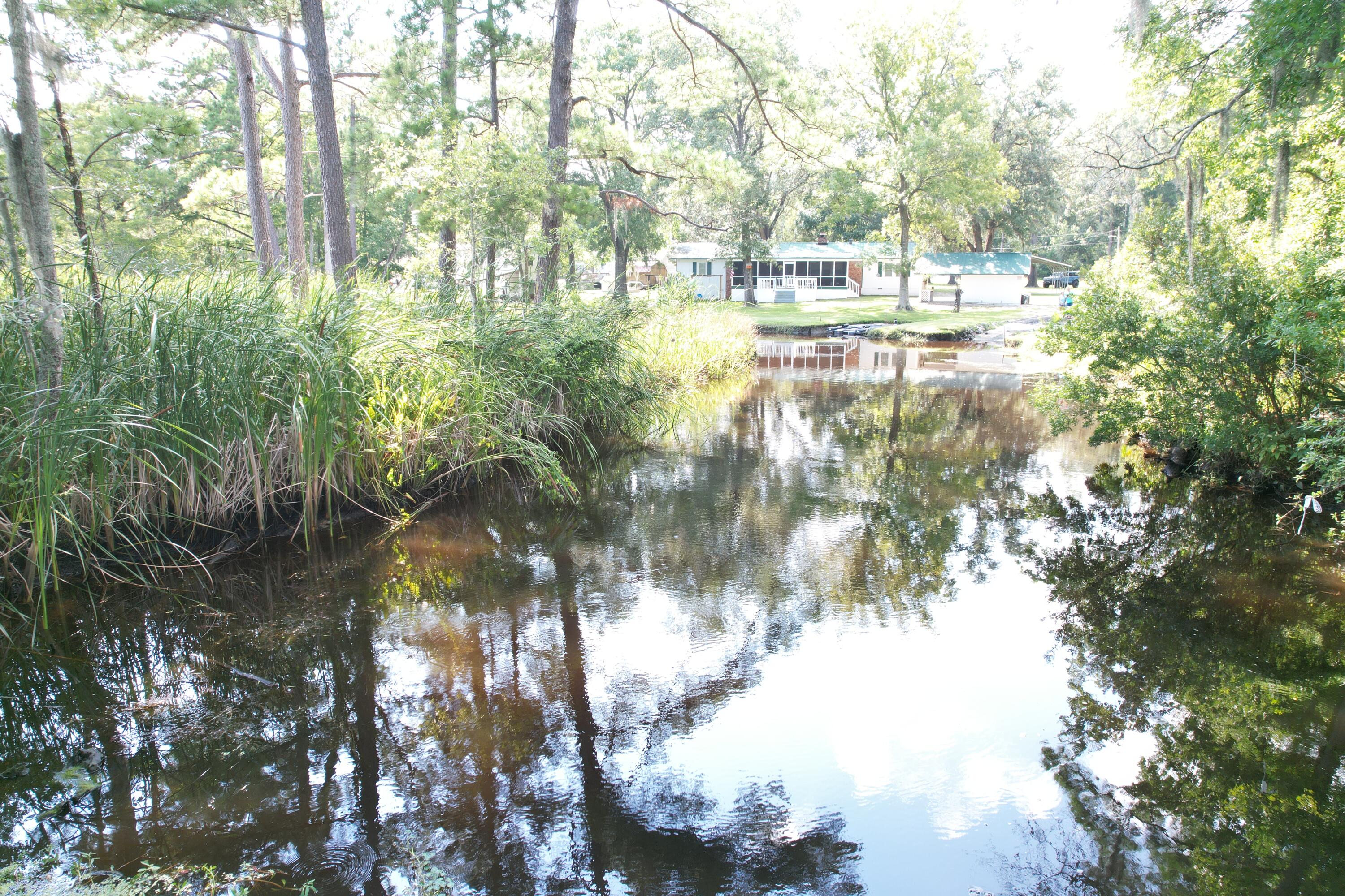 538 Castlebury Road Walterboro, SC 29488 - Photo 42 of 42 DJI_0743