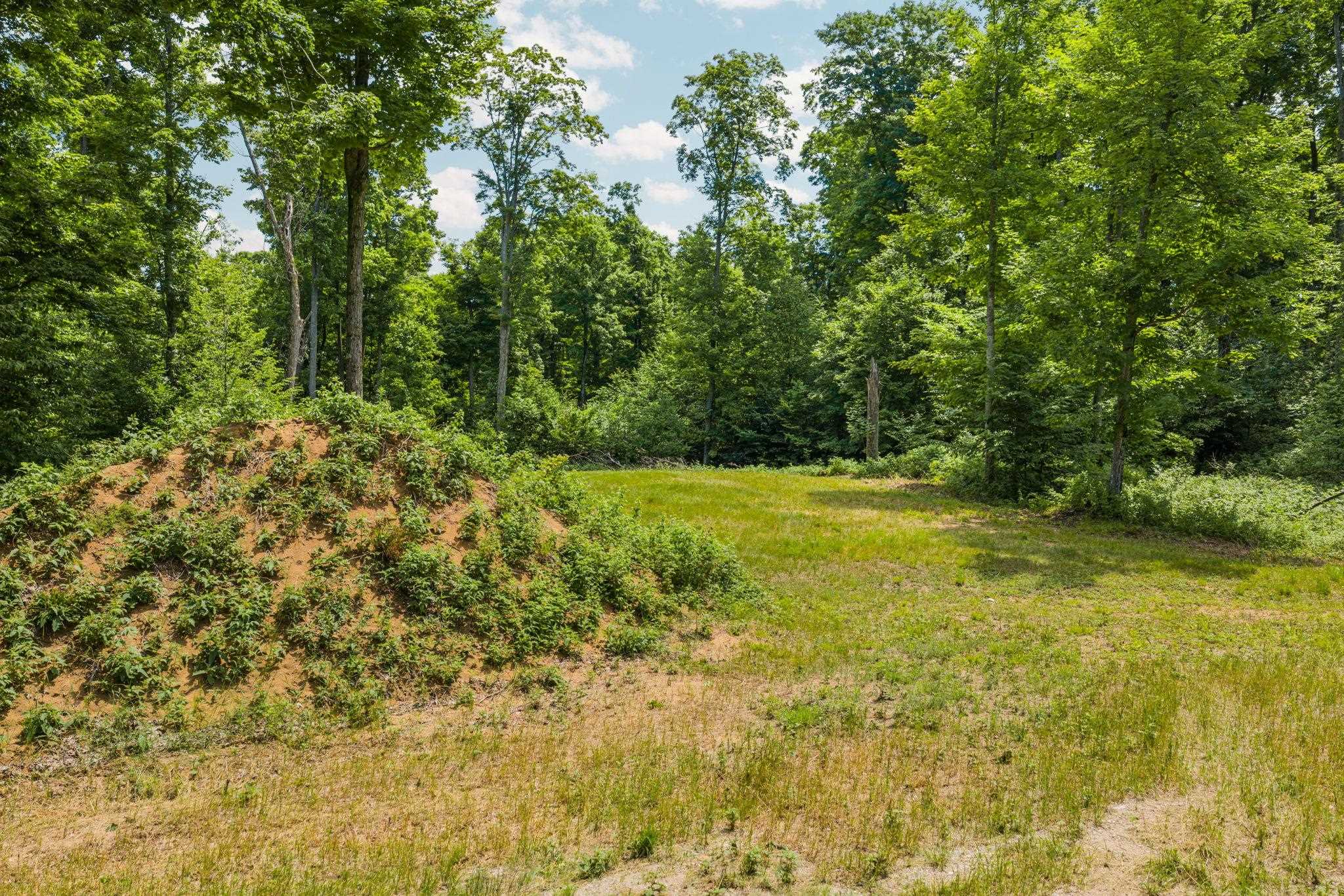 10550 South Cedar Road Cedar, MI 49621 - Photo 20 of 46 1947647-573f85dc-3d6e-4ddb-9b07-f01c34e4ba6e.JPG