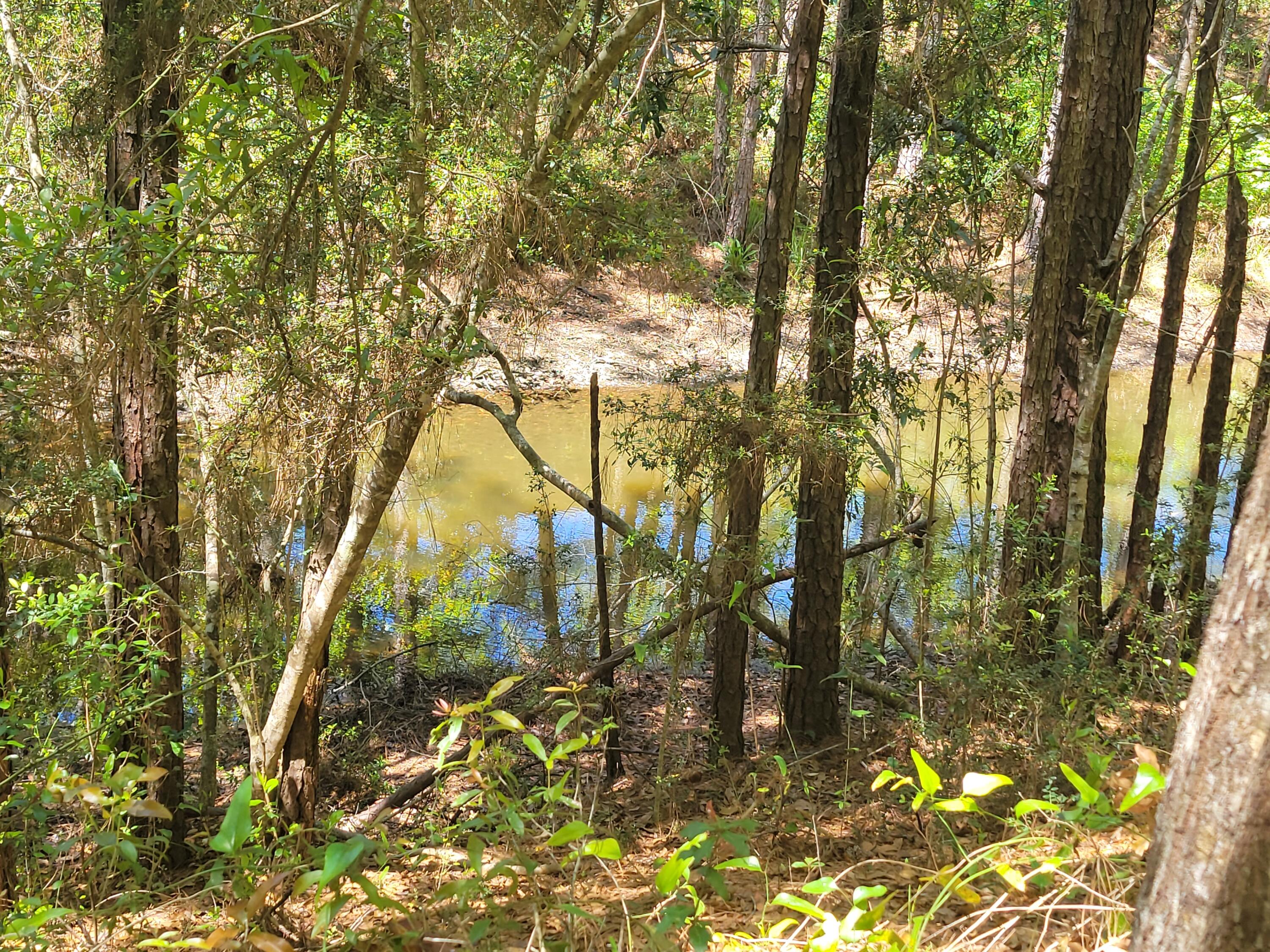 42 Ruth Road Freeport, FL 32439 - Photo 27 of 39 20220409_123331