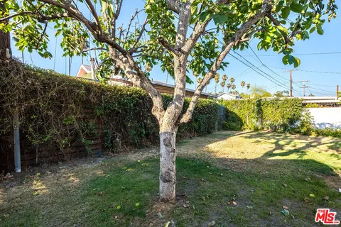 a view of a yard with wooden fence