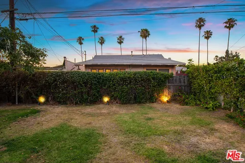 a view of a yard with plants and trees