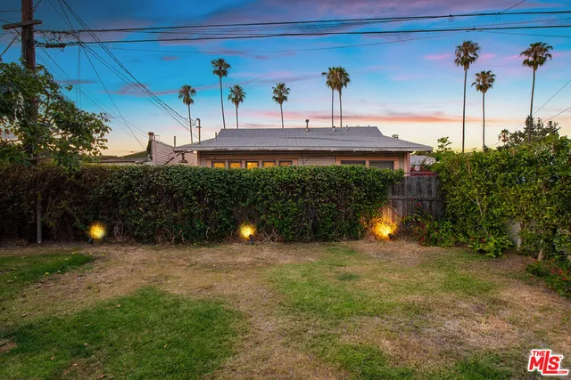 a view of a yard with plants and trees