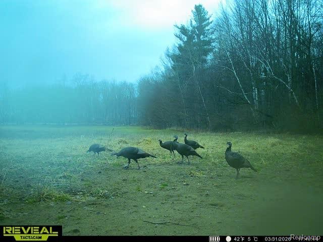 5793 Maple Grove Road Silverwood, MI 48760 - Photo 32 of 33
