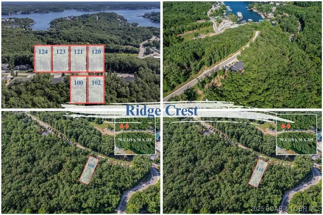 $20,000 | Lot 110 Terry Rd Lake, Lake Ozark, MO 65049