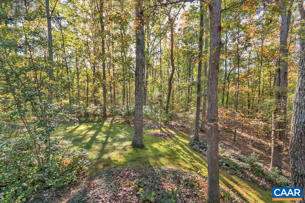 3272 Buck Island Road Charlottesville, VA 22902 - Photo 27 of 41 a yard with tall trees