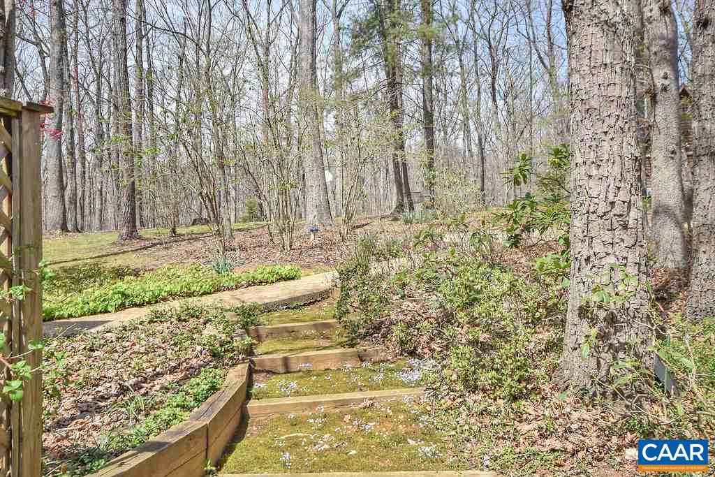 3272 Buck Island Road Charlottesville, VA 22902 - Photo 41 of 41 a view of a yard with large trees