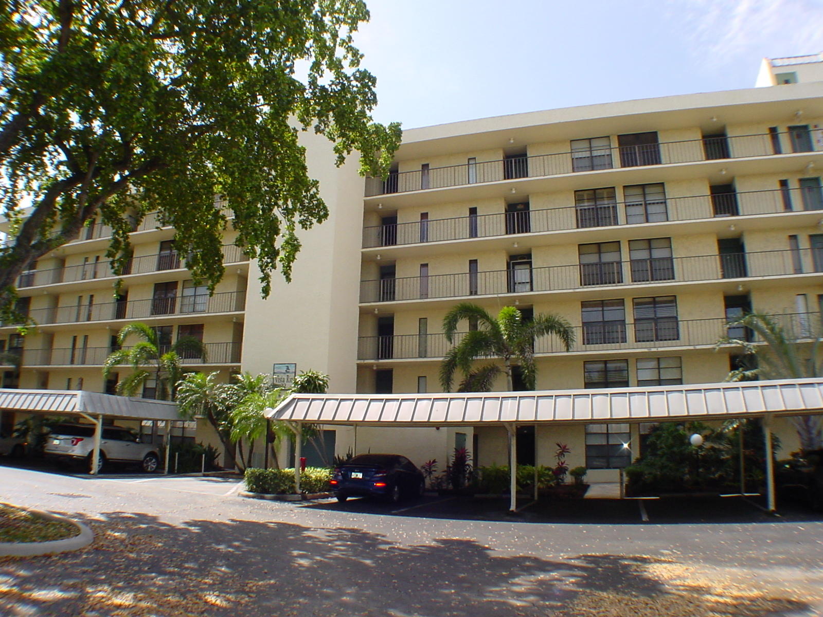 DSC00253
