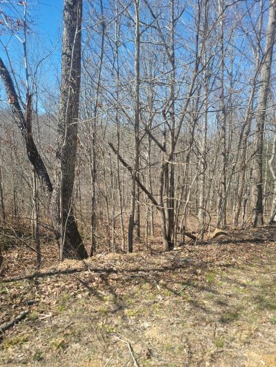 115 Warriors Path Road Summertown, TN 38483 - Photo 2 of 11 Gallery Image 2