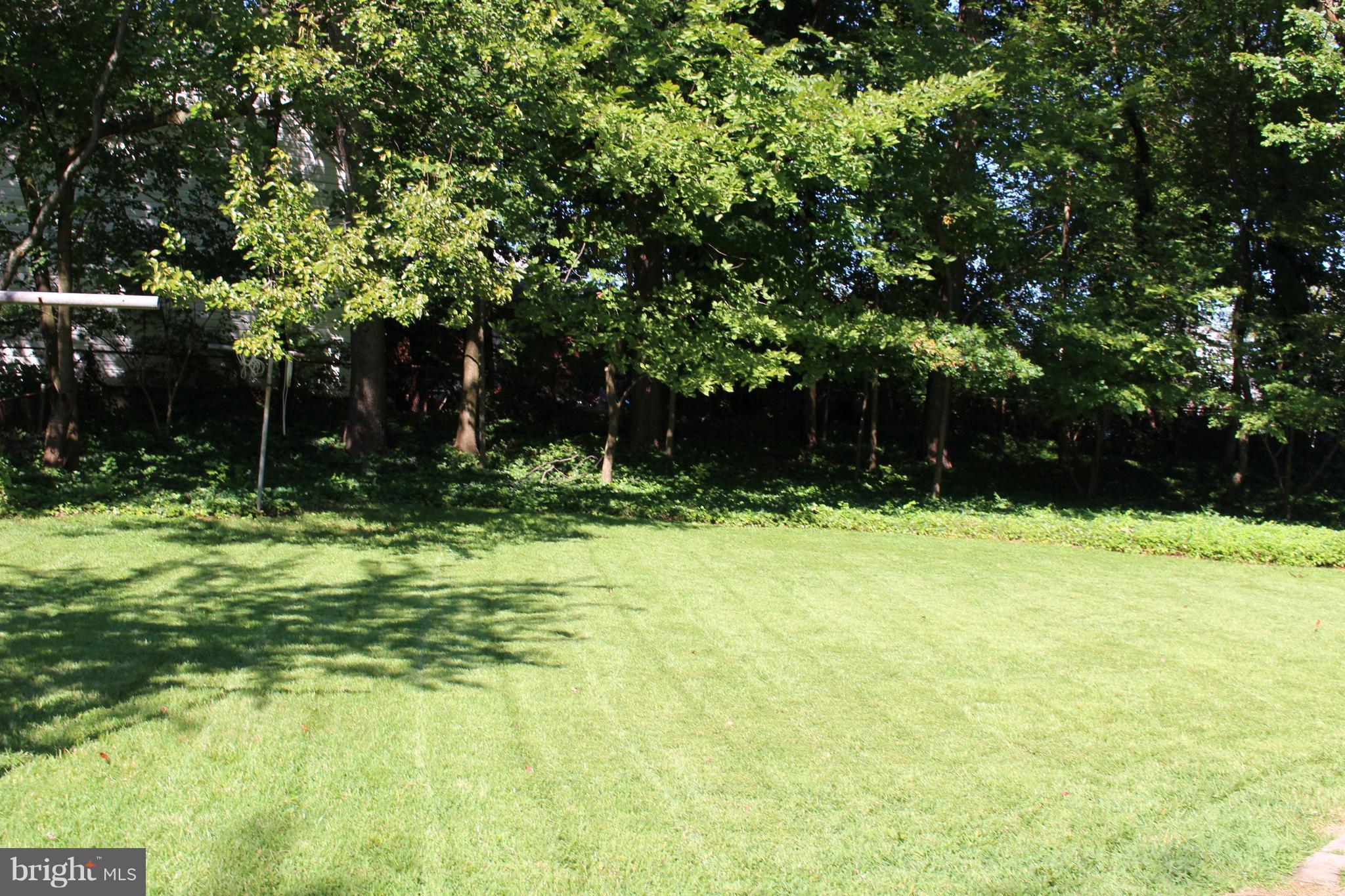 12704 Goodhill Road Silver Spring, MD 20906 - Photo 30 of 30 Level Back Yard