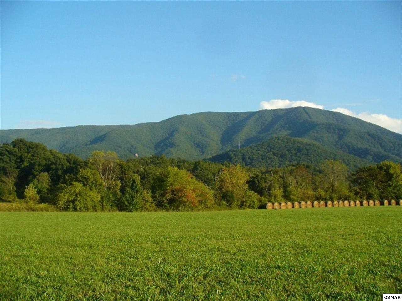 2 Wears Valley Road Sevierville, TN 37862 - Photo 1 of 14