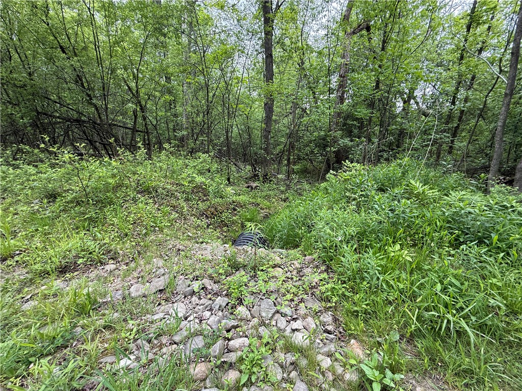 Hawley Road Bradford, NY 14815 - Photo 15 of 42