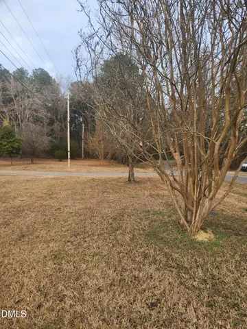 a view of a field with trees in the background