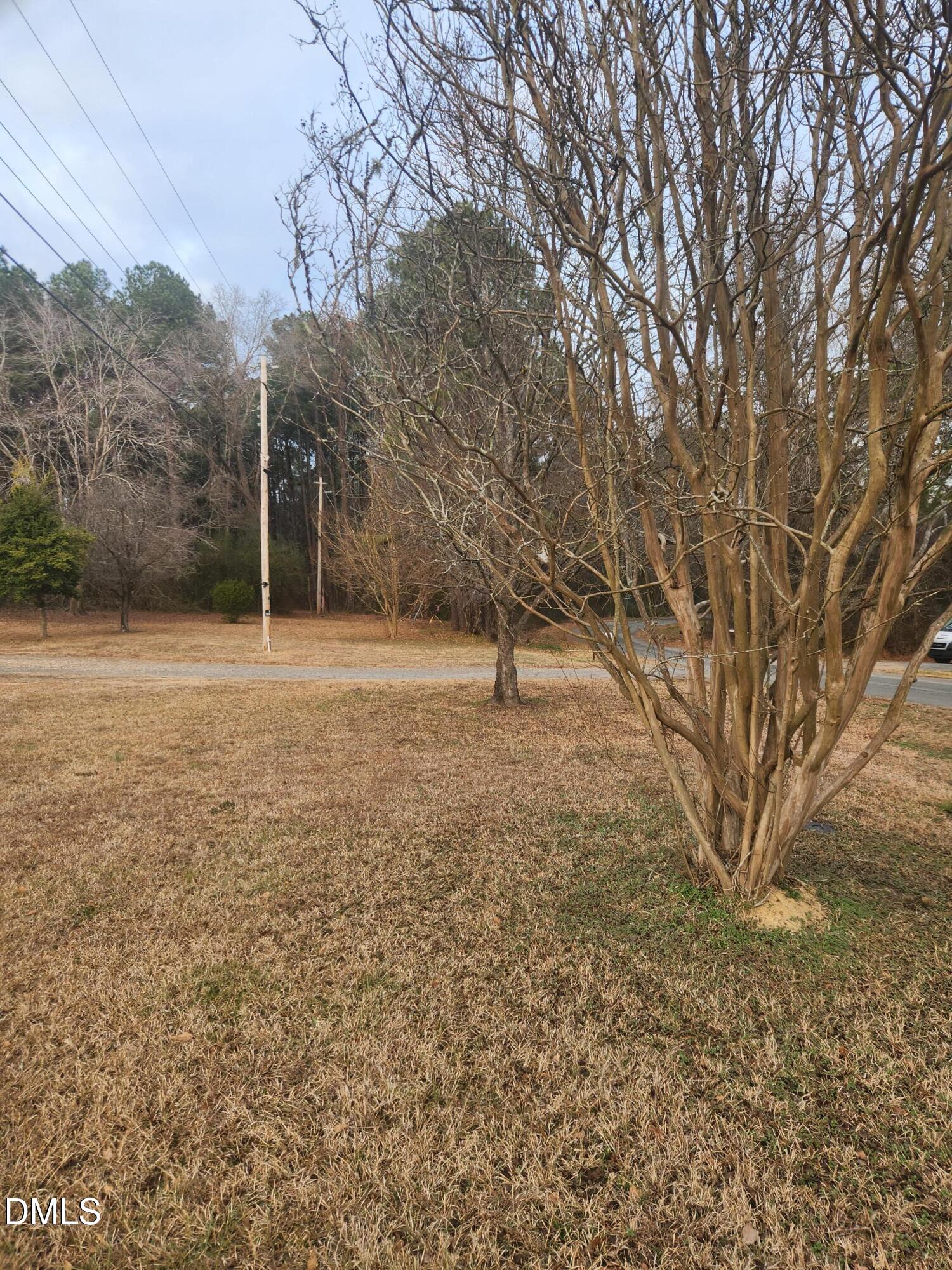 83 Wimberly Road Moncure, NC 27559 - Photo 5 of 17 a view of a field with trees in the background