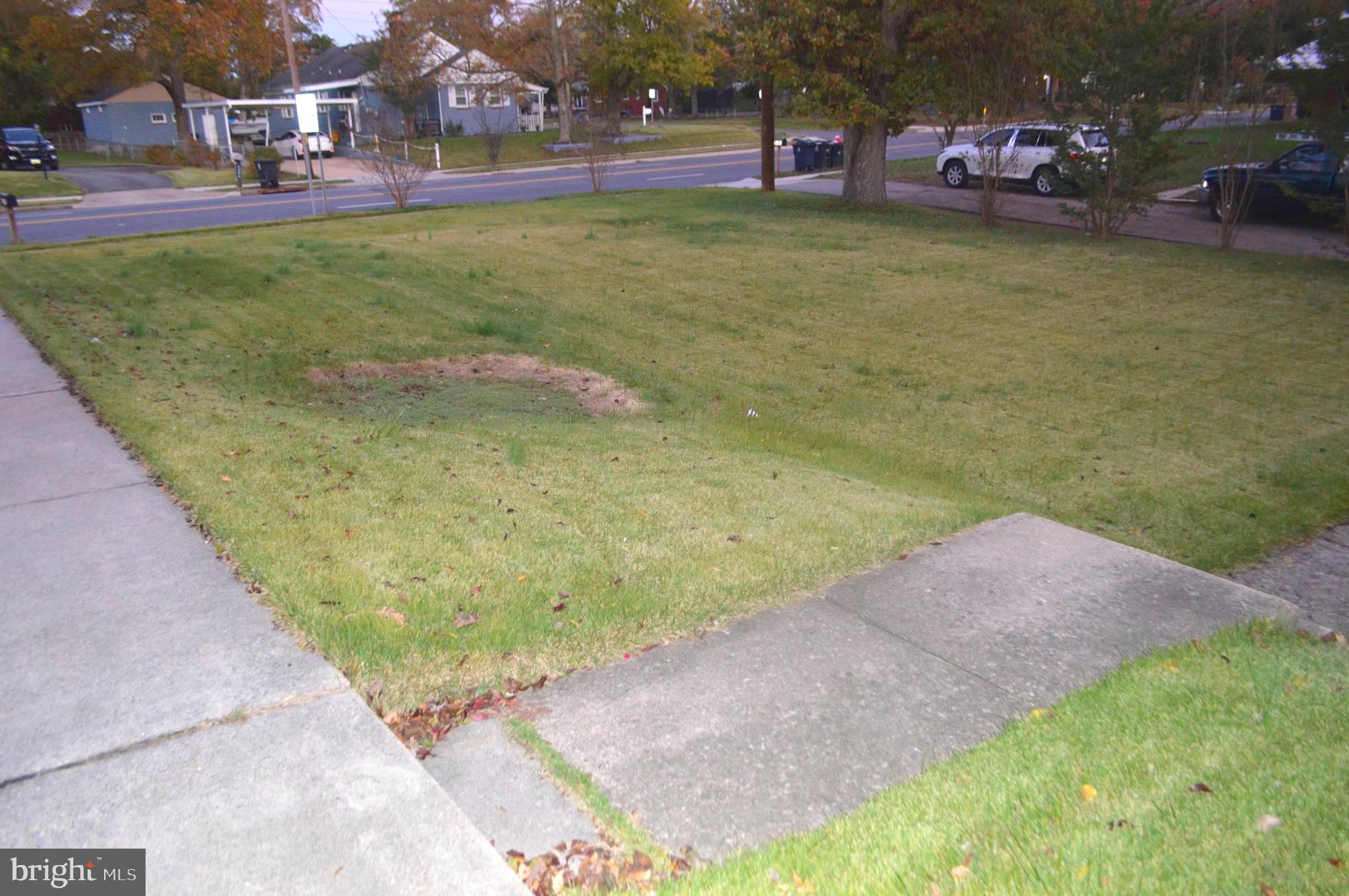 Very Large Front Level Yard