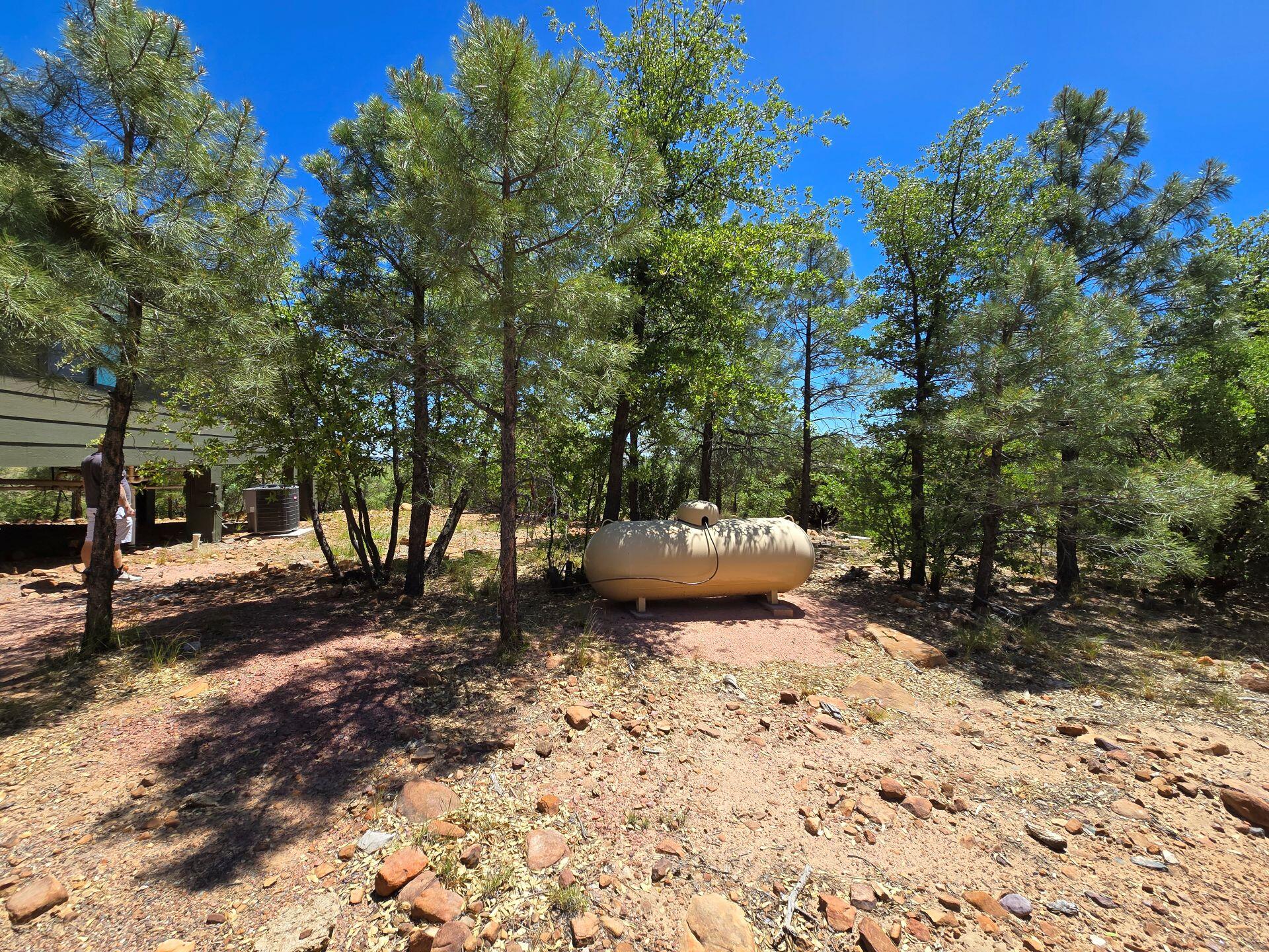 240 Rockinghorse Bend Road Payson, AZ 85541 - Photo 53 of 53 a view of a backyard of the house