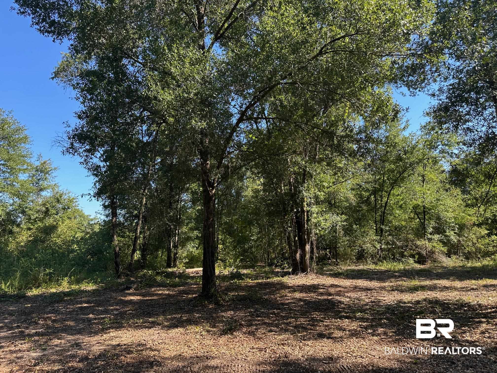 0 Newman Road Mobile, AL 36695 - Photo 1 of 36 View of tree filled area