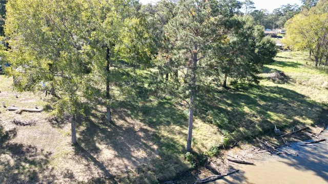 a view of a tree in a yard