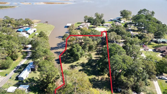 a picture of flowers