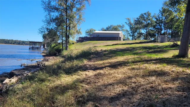 a view of a yard with trees