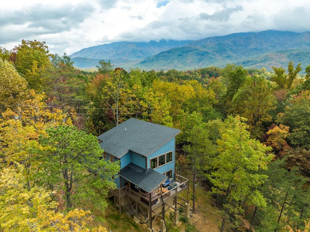 1105 Mathis Hollow Road Gatlinburg, TN 37738 - Photo 44 of 45