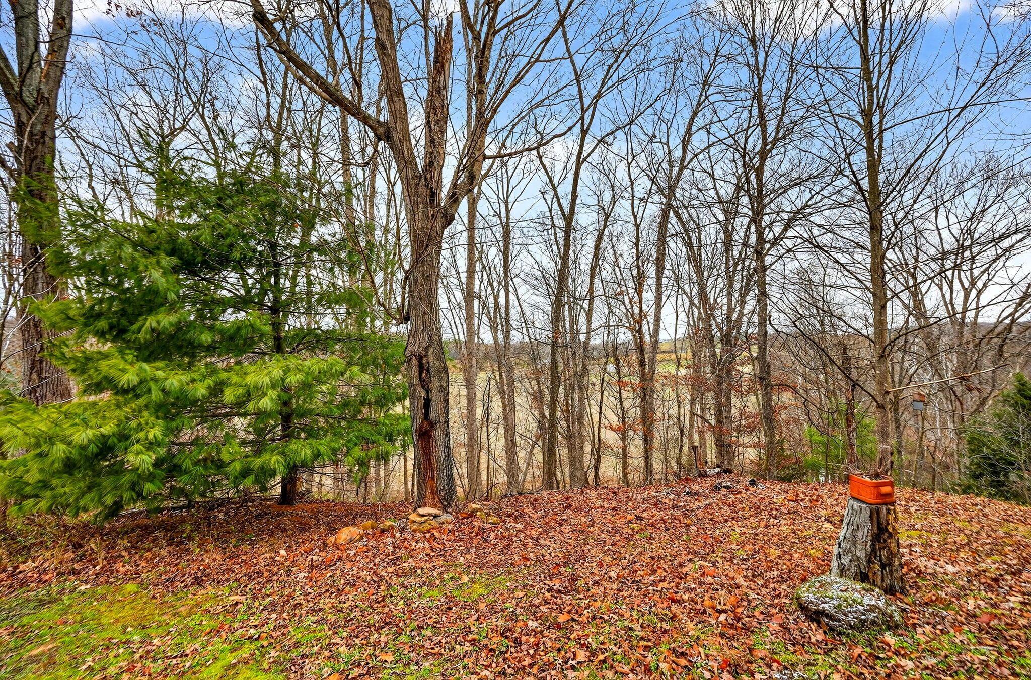 1521 Sam Gilliland Road Oak Hill, OH 45656 - Photo 51 of 53 1521 Sam Gilliland Rd 74