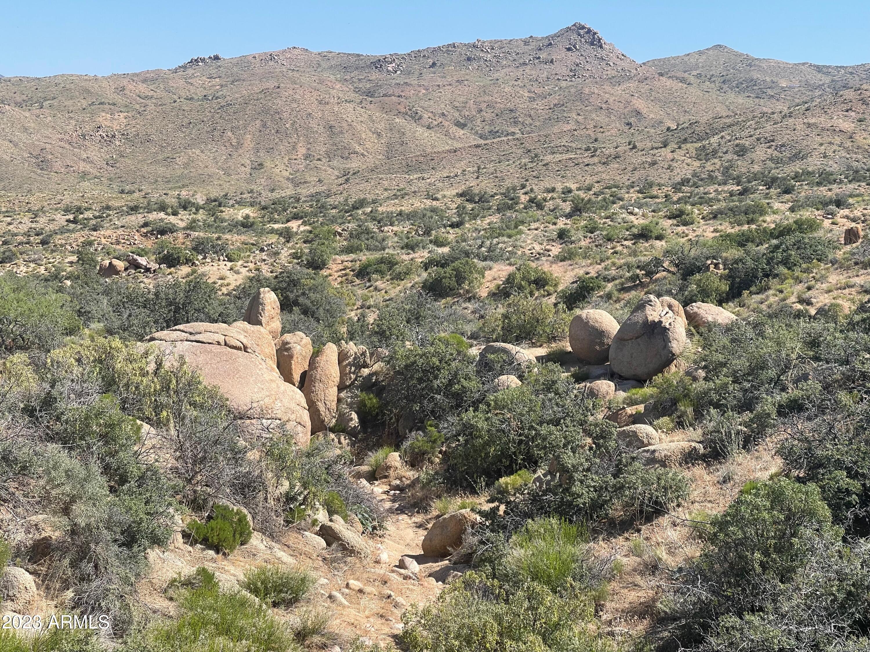 10000 Granite Basin Road Kingman, AZ 86401 - Photo 12 of 27 IMG_4429