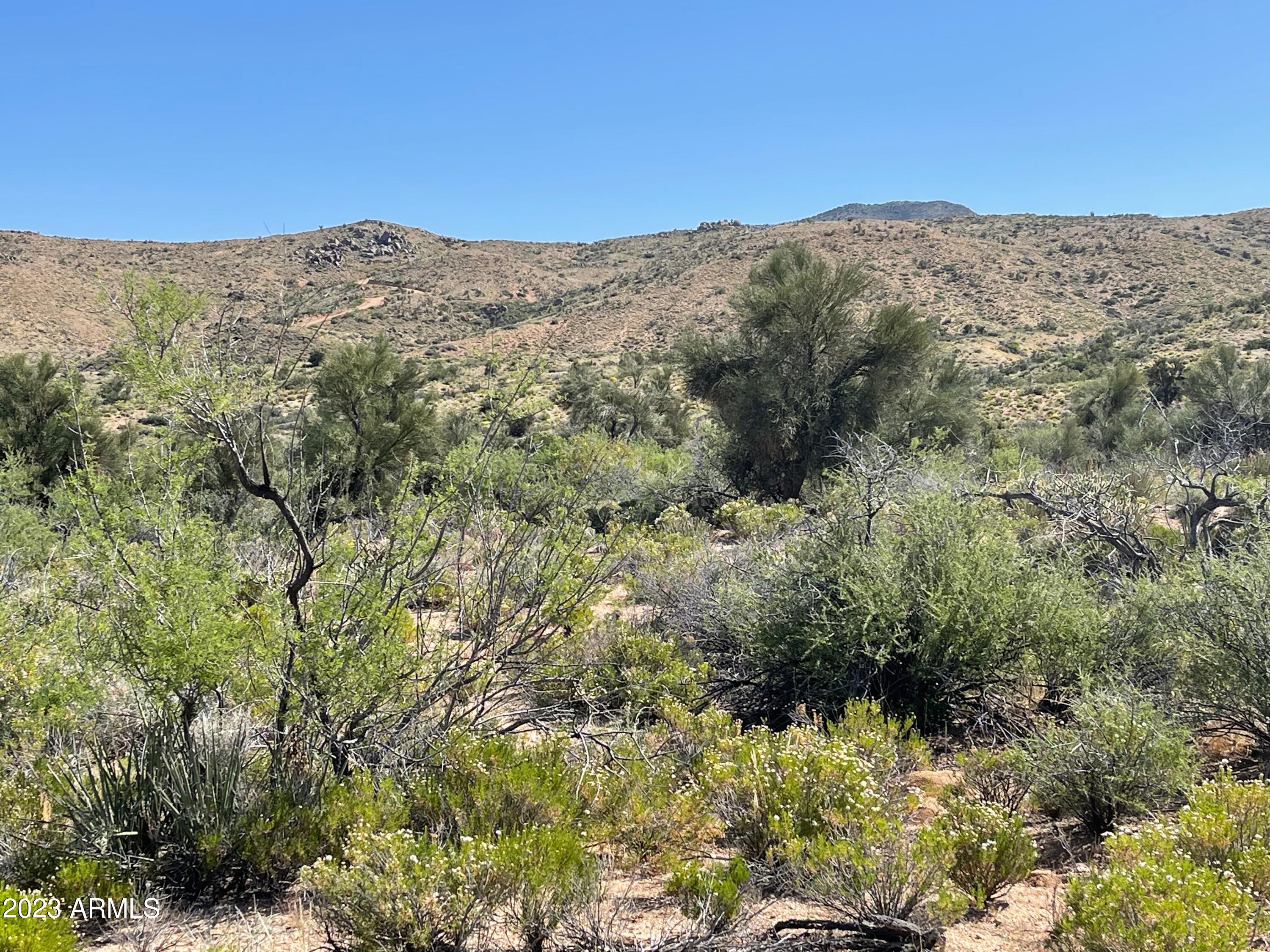 10000 Granite Basin Road Kingman, AZ 86401 - Photo 16 of 27 IMG_4433