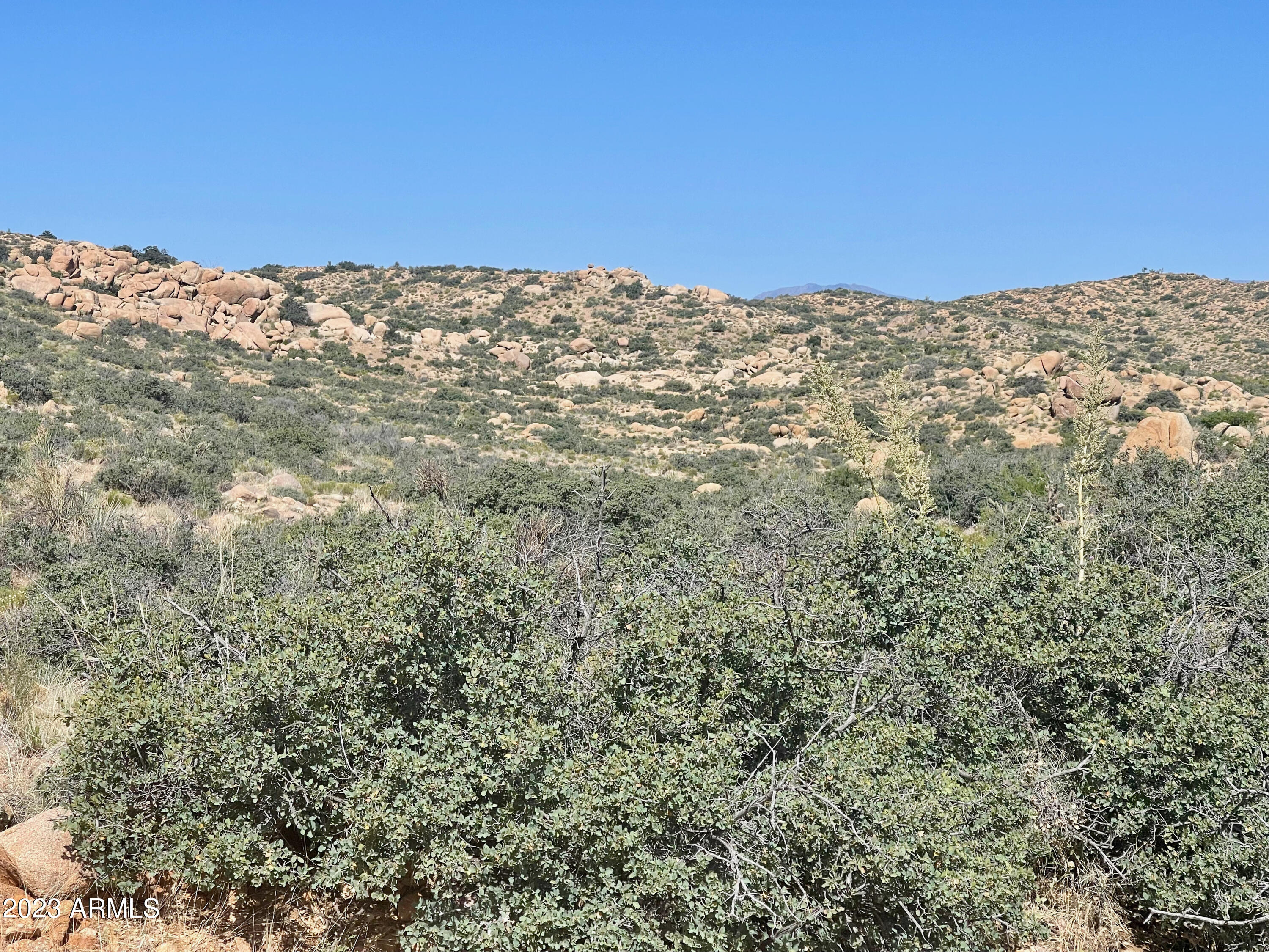 10000 Granite Basin Road Kingman, AZ 86401 - Photo 4 of 27 IMG_4420