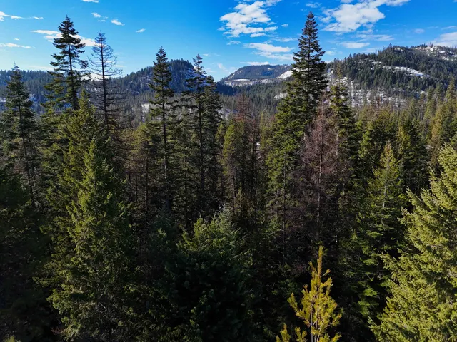 $240,000 | 35-xx Mountainview Road, Chewelah, WA 99109