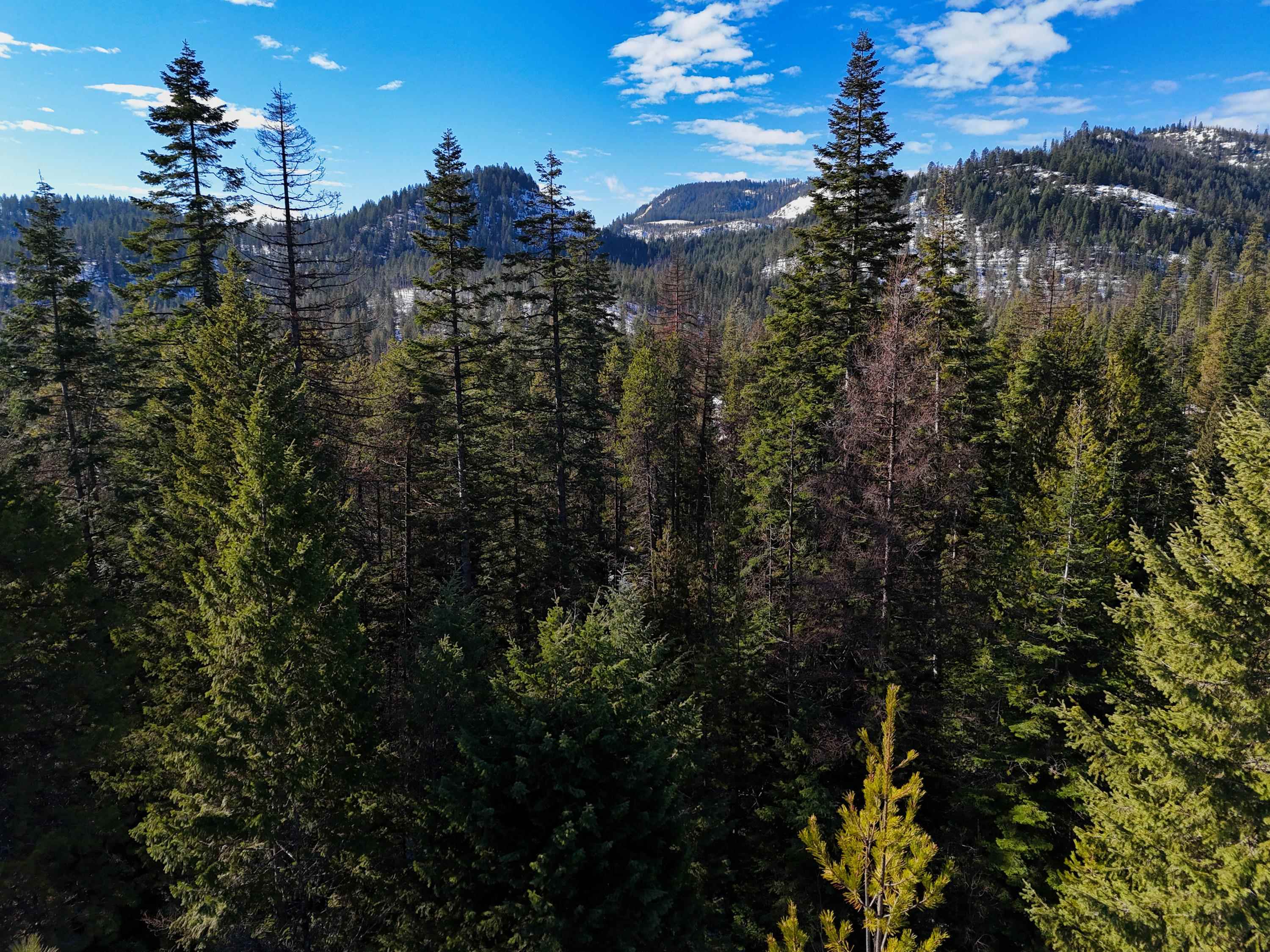 35-xx Mountainview Road Chewelah, WA 99109 - Photo 12 of 24