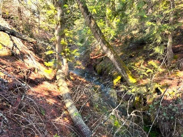 $240,000 | 35-xx Mountainview Road, Chewelah, WA 99109