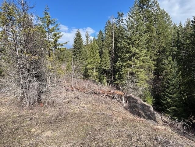 35-xx Mountainview Road Chewelah, WA 99109 - Photo 15 of 24