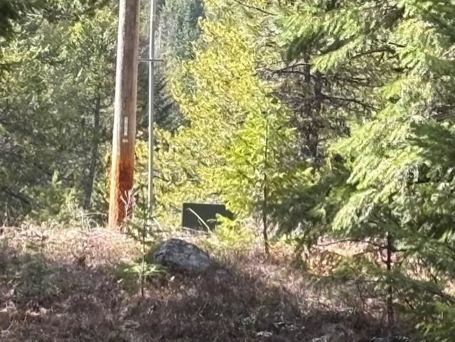 35-xx Mountainview Road Chewelah, WA 99109 - Photo 17 of 24