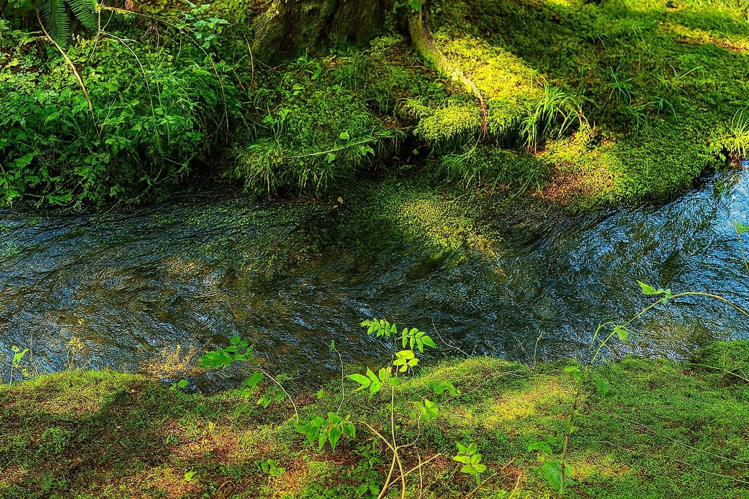 35-xx Mountainview Road Chewelah, WA 99109 - Photo 3 of 24