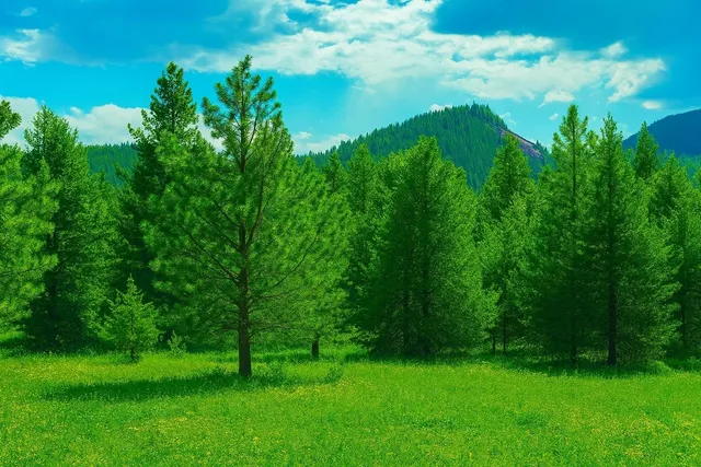 $240,000 | 35-xx Mountainview Road, Chewelah, WA 99109