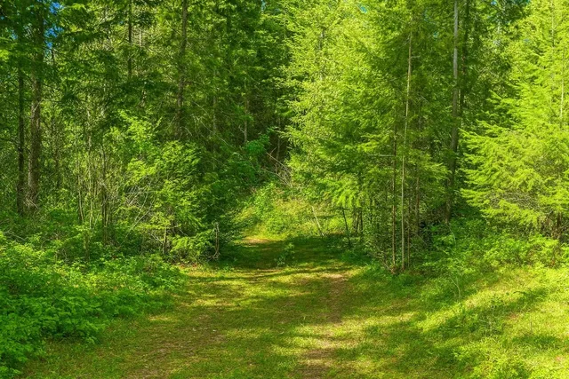 $240,000 | 35-xx Mountainview Road, Chewelah, WA 99109