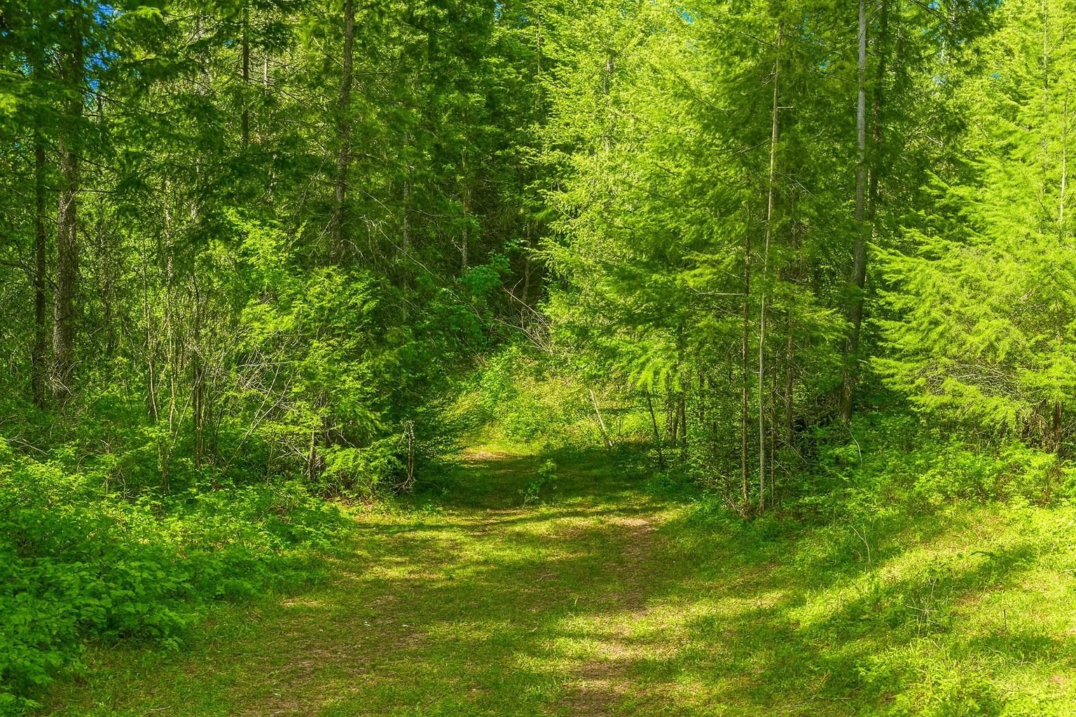 35-xx Mountainview Road Chewelah, WA 99109 - Photo 5 of 24