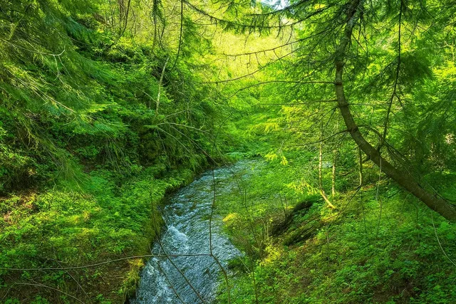 $240,000 | 35-xx Mountainview Road, Chewelah, WA 99109