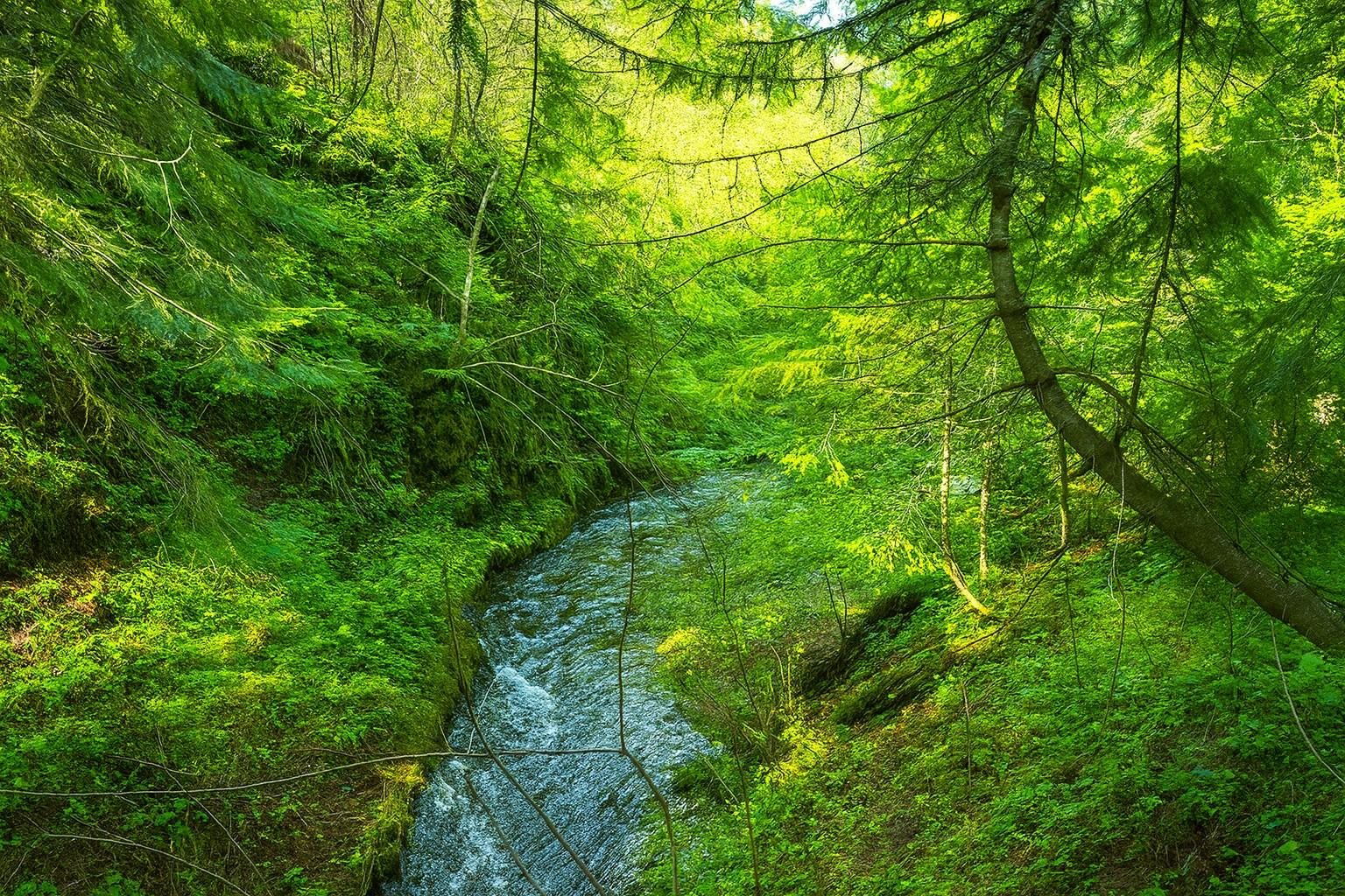 35-xx Mountainview Road Chewelah, WA 99109 - Photo 6 of 24