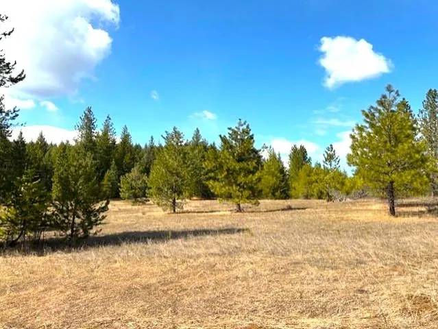 $240,000 | 35-xx Mountainview Road, Chewelah, WA 99109