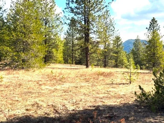 $240,000 | 35-xx Mountainview Road, Chewelah, WA 99109