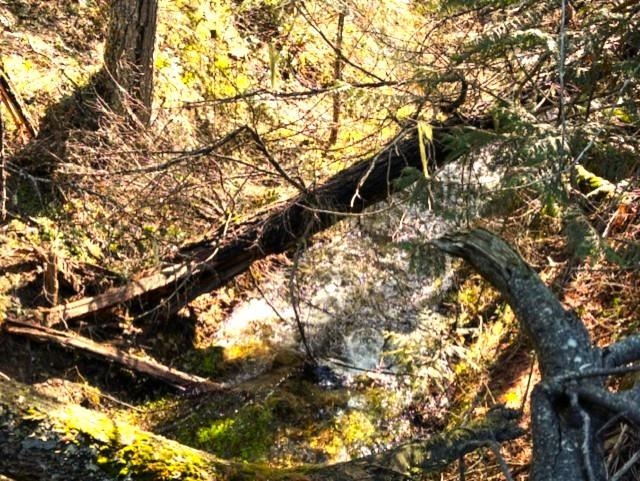 35-xx Mountainview Road Chewelah, WA 99109 - Photo 10 of 24