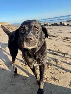 a view of house with wooden wall