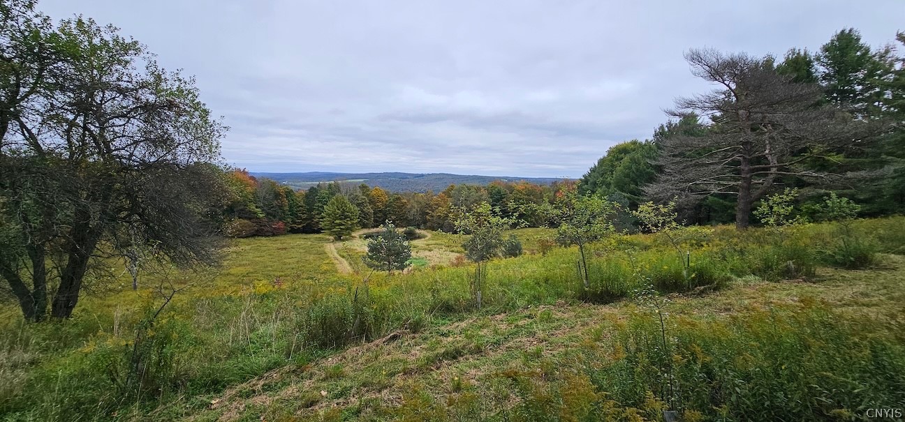 5099 Conrad Road Willet, NY 13040 - Photo 7 of 50 Gallery Image 7
