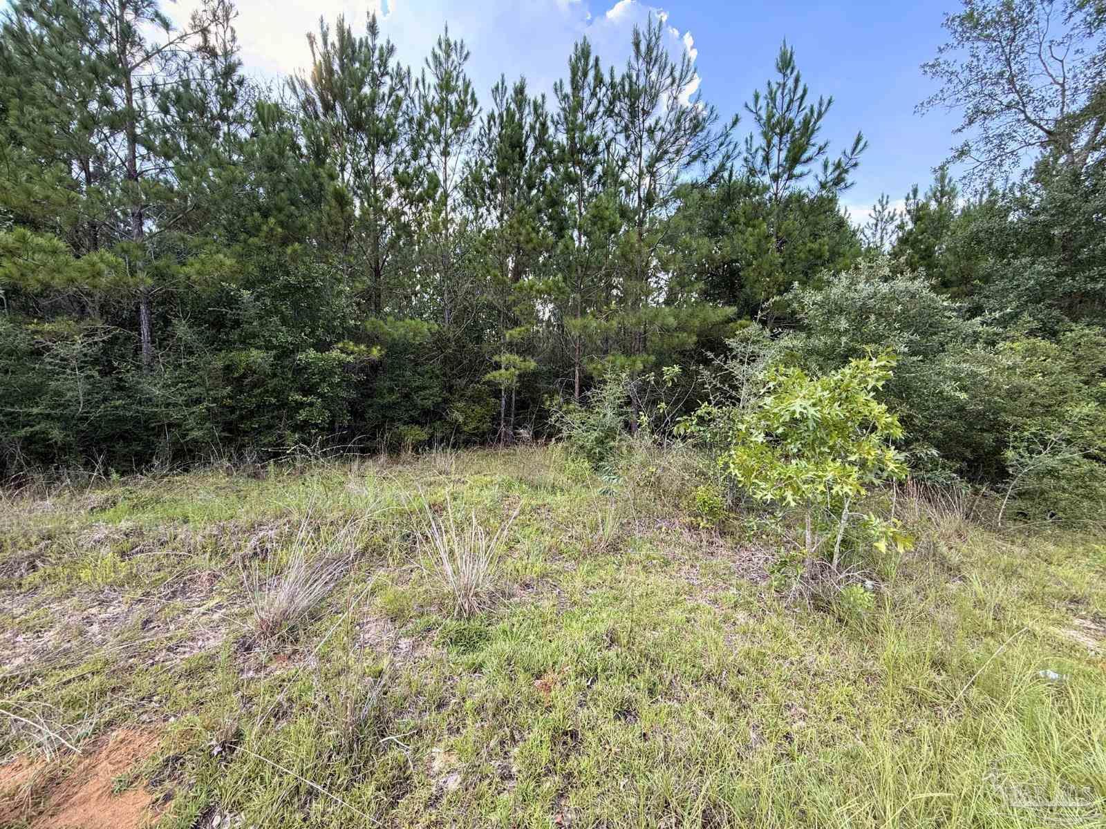 Lot 23 Buffalo Ridge Road Pace, FL 32571 - Photo 3 of 10 a view of outdoor space and trees