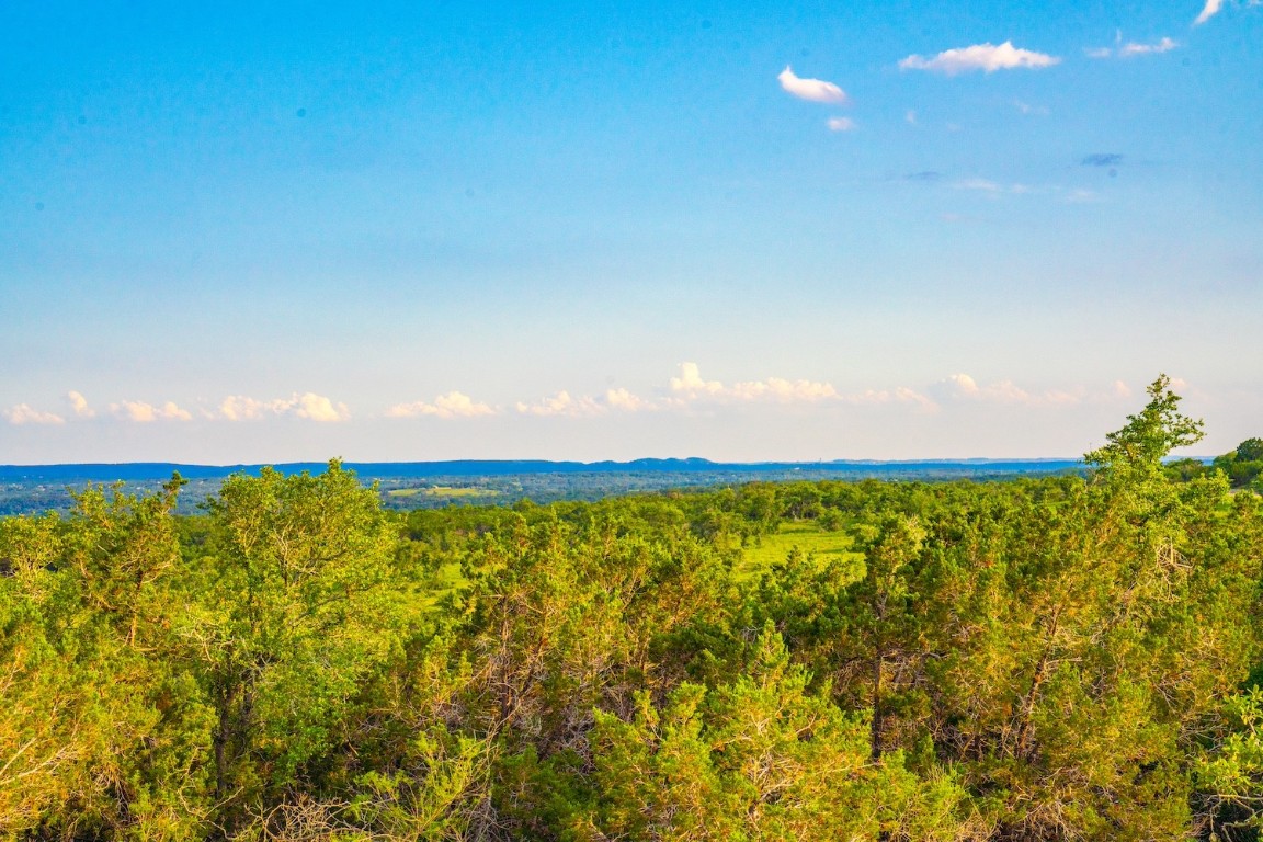 a view of a lake from a yard
